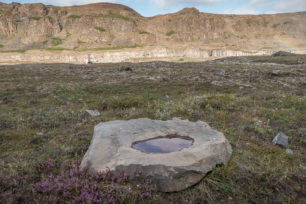 Pentax K-1 / 19 Pentax K-1   19