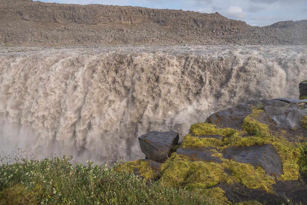 Pentax K-1 / 19 Pentax K-1   19
