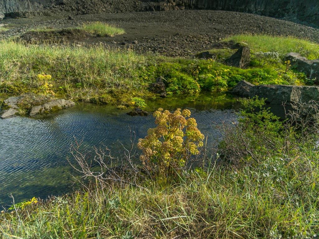 Pentax 645D / 19 Pentax 645D   19