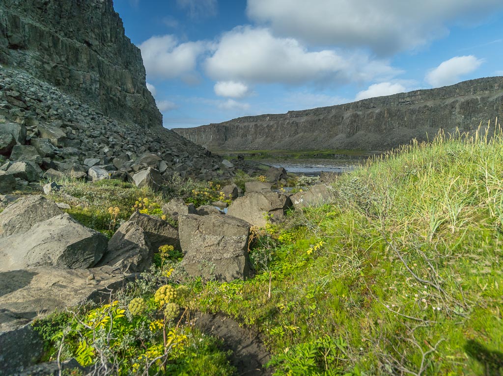 Pentax 645D / 19 Pentax 645D   19