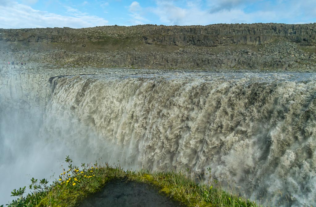 Pentax 645D / 19 Pentax 645D   19