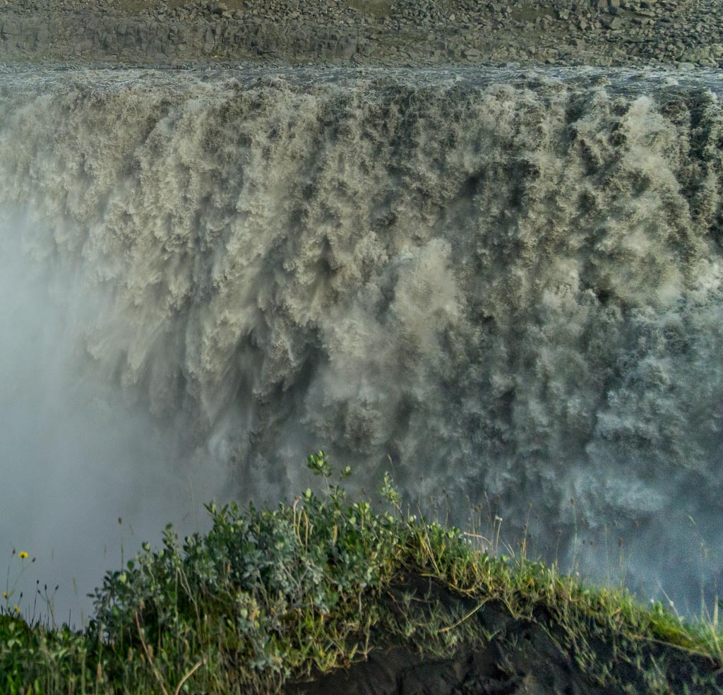 Pentax 645D / 19 Pentax 645D   19