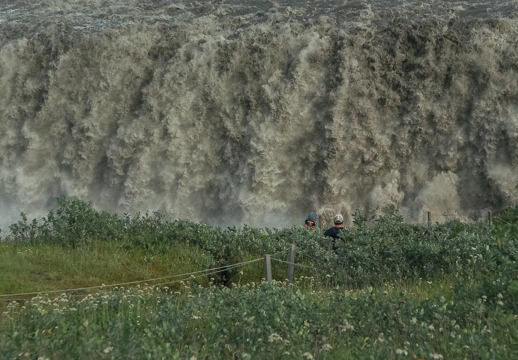 Pentax 645D / 19 Pentax 645D   19