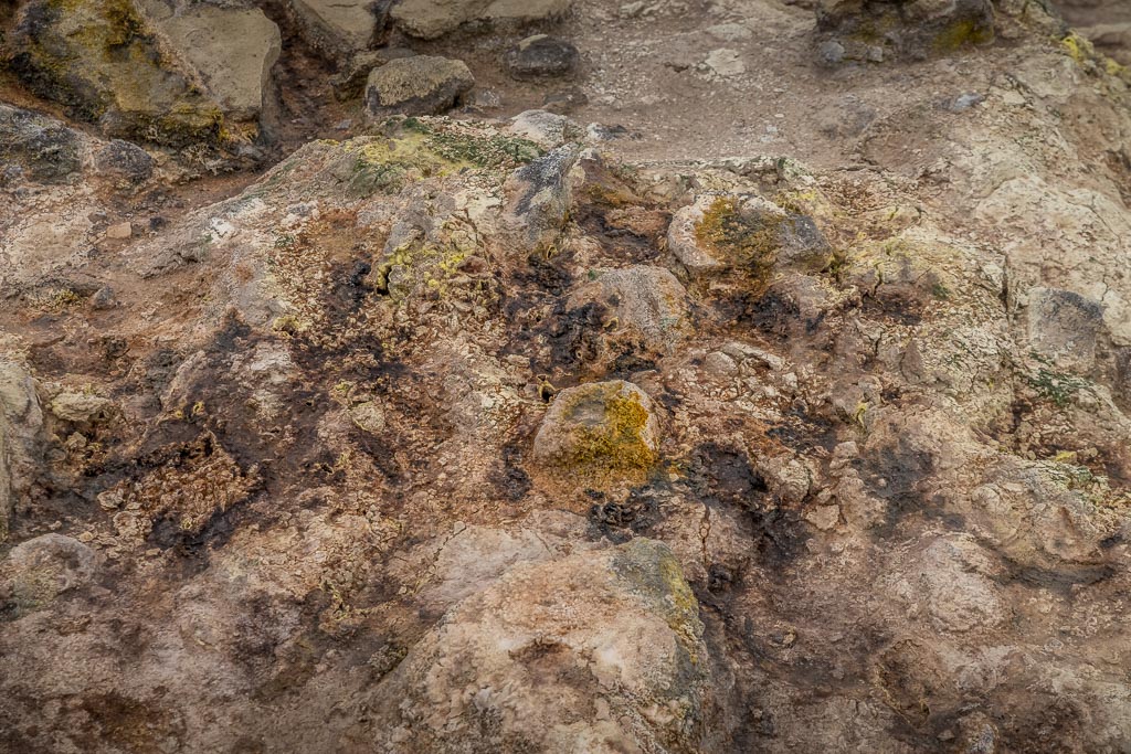 Pentax K-1 / 23 Pentax K-1   23