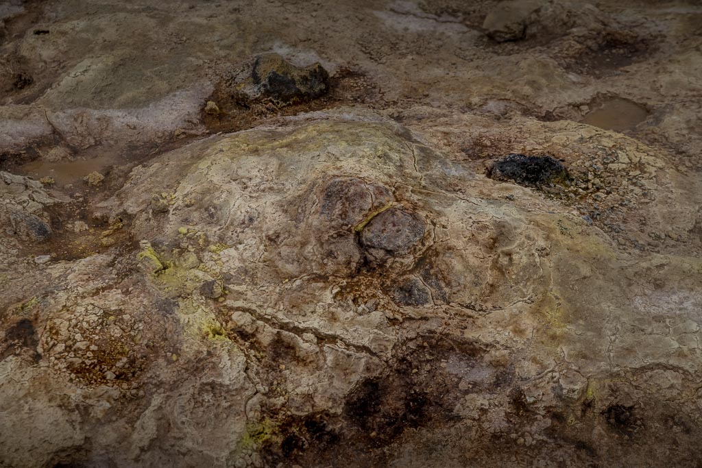 Pentax K-1 / 23 Pentax K-1   23