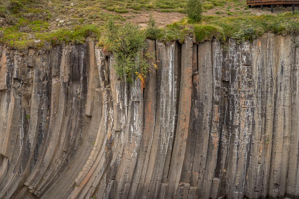 Pentax K-1 / 27 Pentax K-1   27