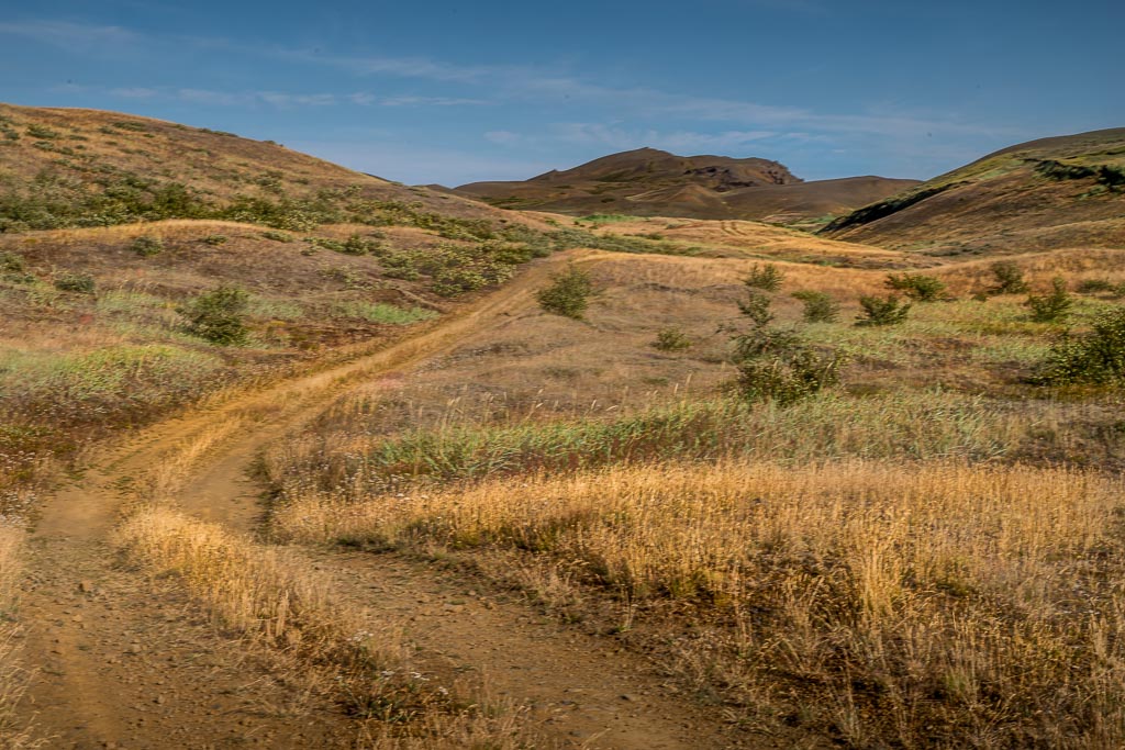 Pentax K-1 / 1 Pentax K-1   1