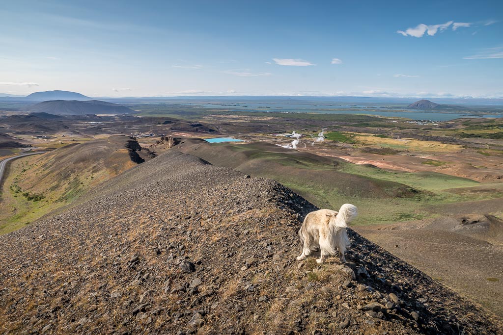 Pentax K-1 / 1 Pentax K-1   1
