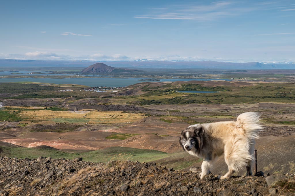Pentax K-1 / 1 Pentax K-1   1