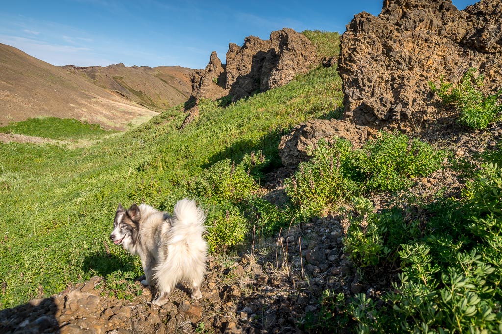 Pentax K-1 / 1 Pentax K-1   1