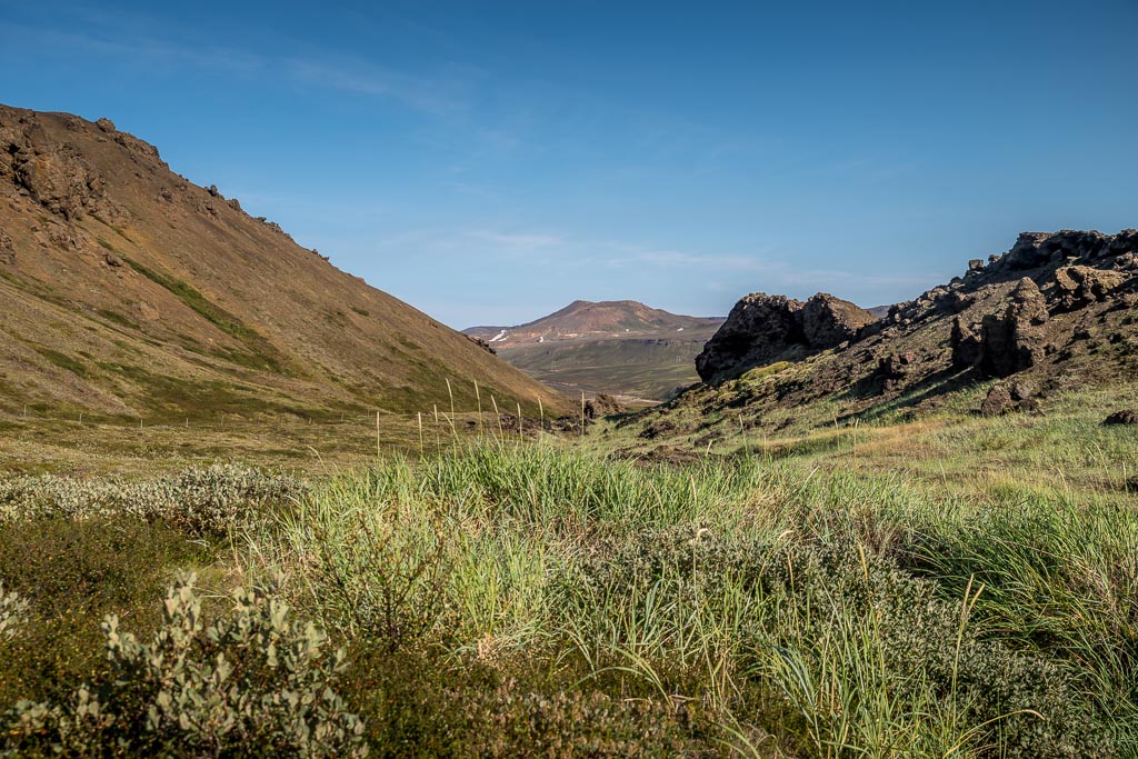 Pentax K-1 / 1 Pentax K-1   1