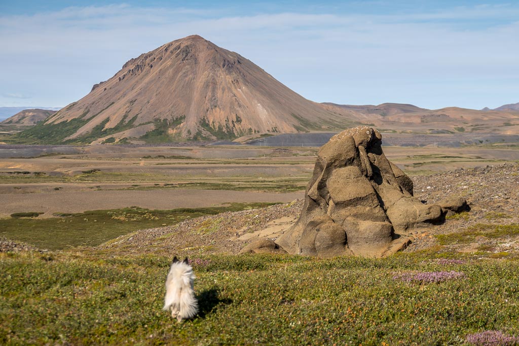 Pentax K-1 / 1 Pentax K-1   1