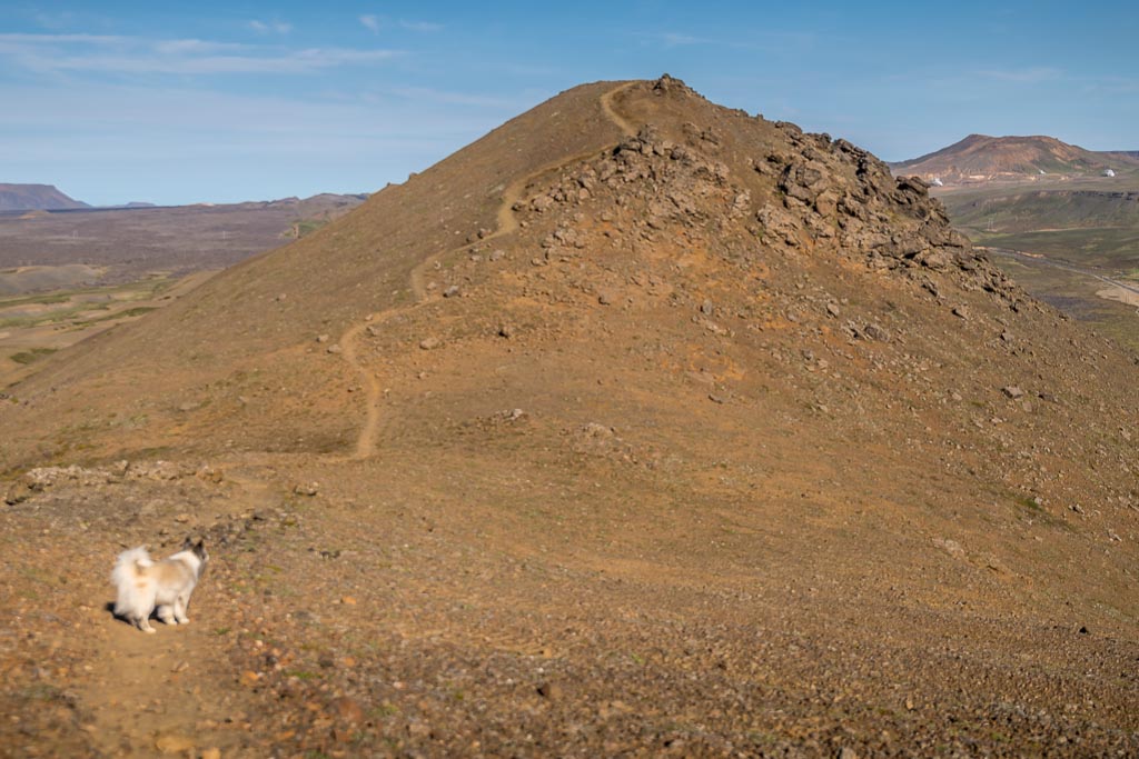 Pentax K-1 / 1 Pentax K-1   1