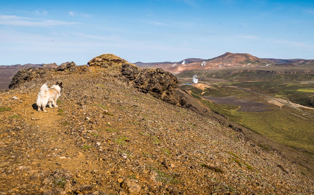 Pentax K-1 / 1 Pentax K-1   1