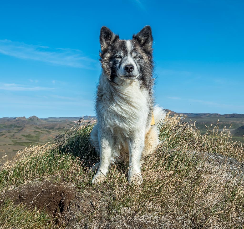 Pentax K-1 / 1 Pentax K-1   1