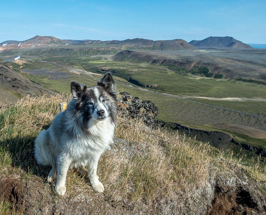 Pentax K-1 / 1 Pentax K-1   1