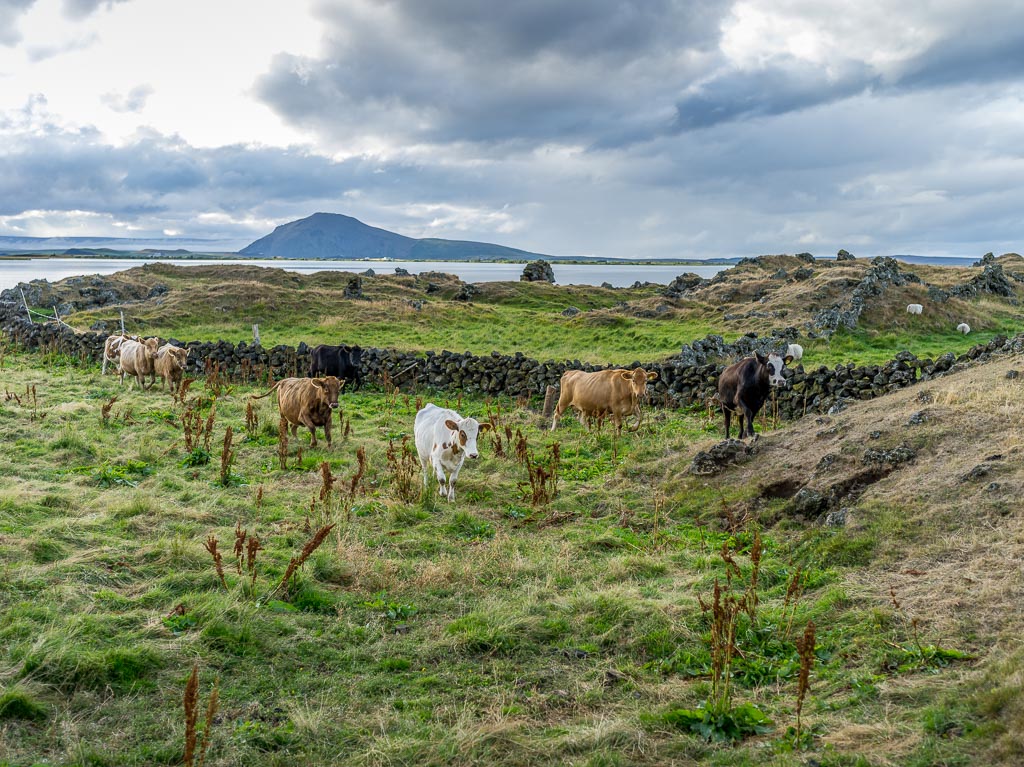 Pentax 645D / 11 Pentax 645D   11