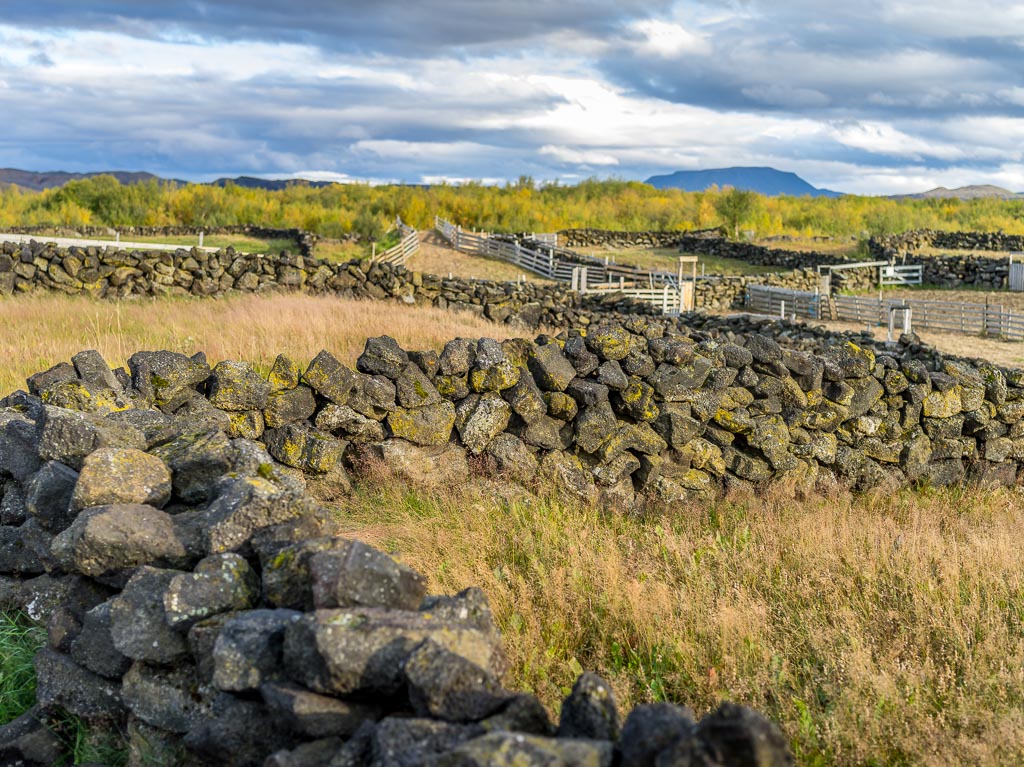 Pentax 645D / 11 Pentax 645D   11