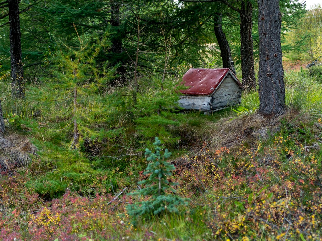 Pentax 645D / 11 Pentax 645D   11