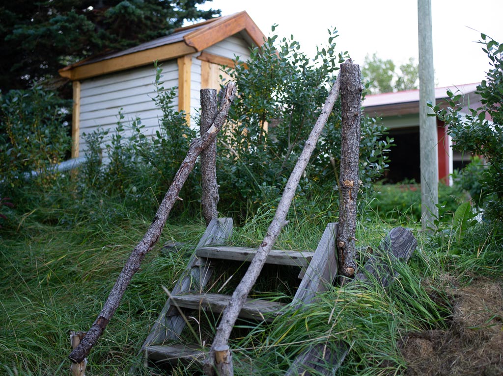 Pentax 645D / 11 Pentax 645D   11