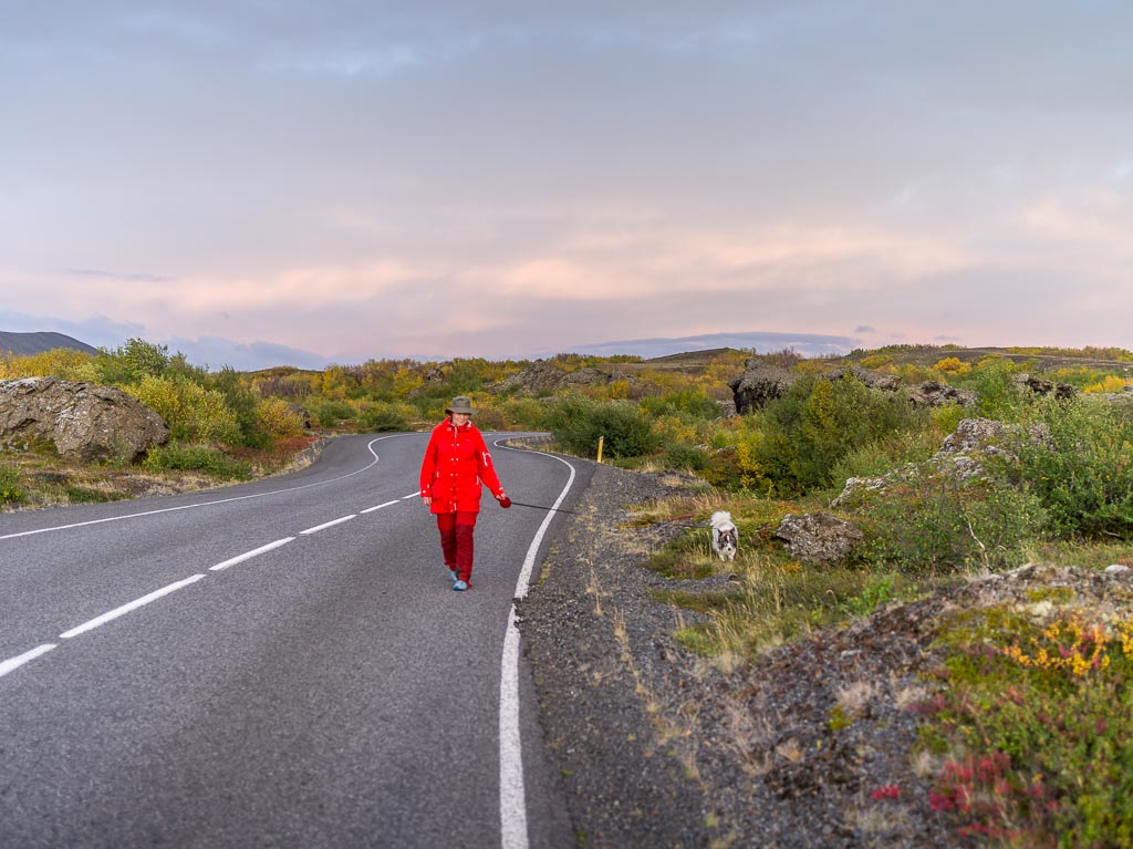 Pentax 645D / 14 Pentax 645D   14