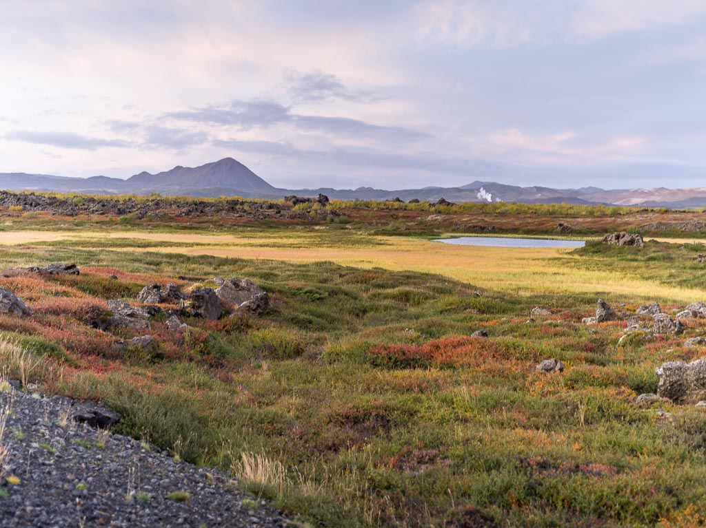 Pentax 645D / 14 Pentax 645D   14