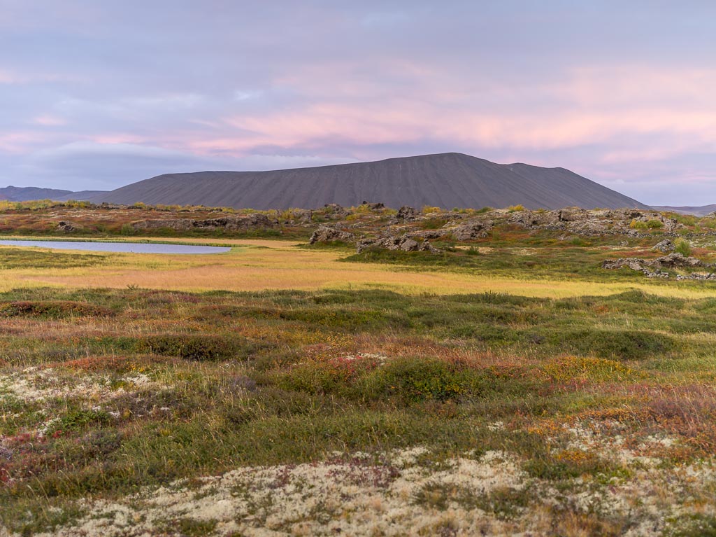 Pentax 645D / 14 Pentax 645D   14