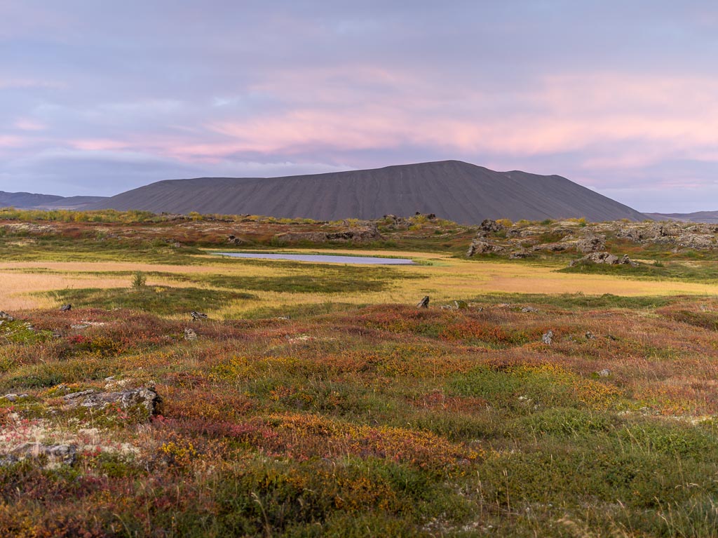 Pentax 645D / 14 Pentax 645D   14