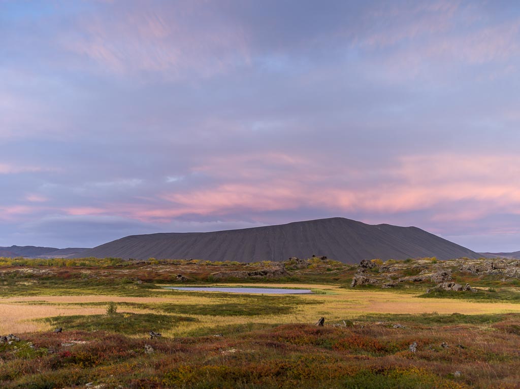 Pentax 645D / 14 Pentax 645D   14