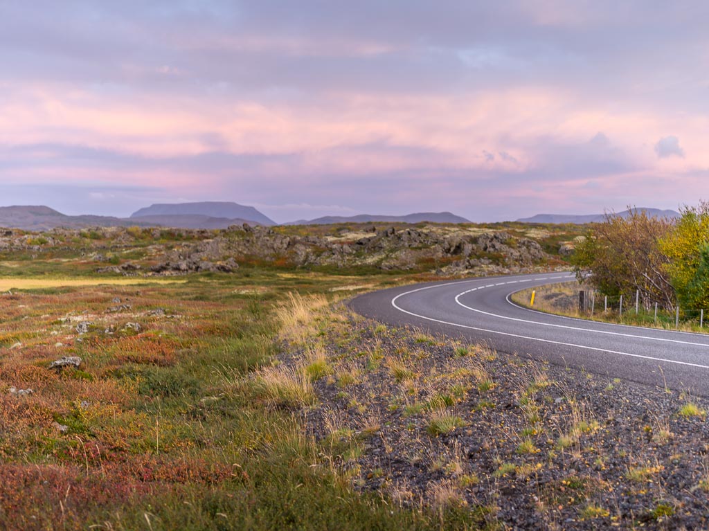 Pentax 645D / 14 Pentax 645D   14