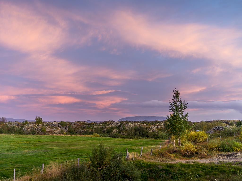 Pentax 645D / 14 Pentax 645D   14