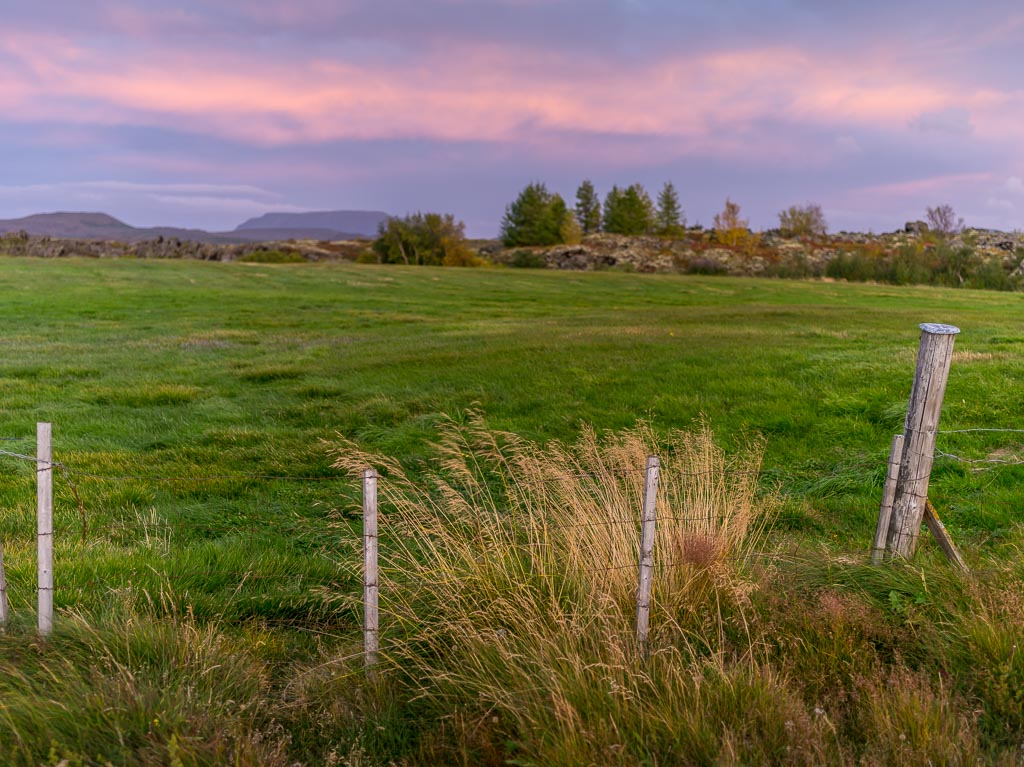 Pentax 645D / 14 Pentax 645D   14