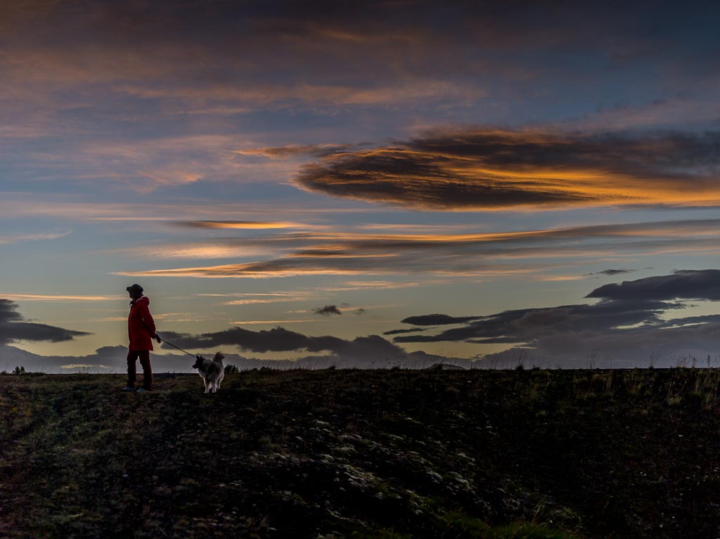 Pentax 645D / 14 Pentax 645D   14