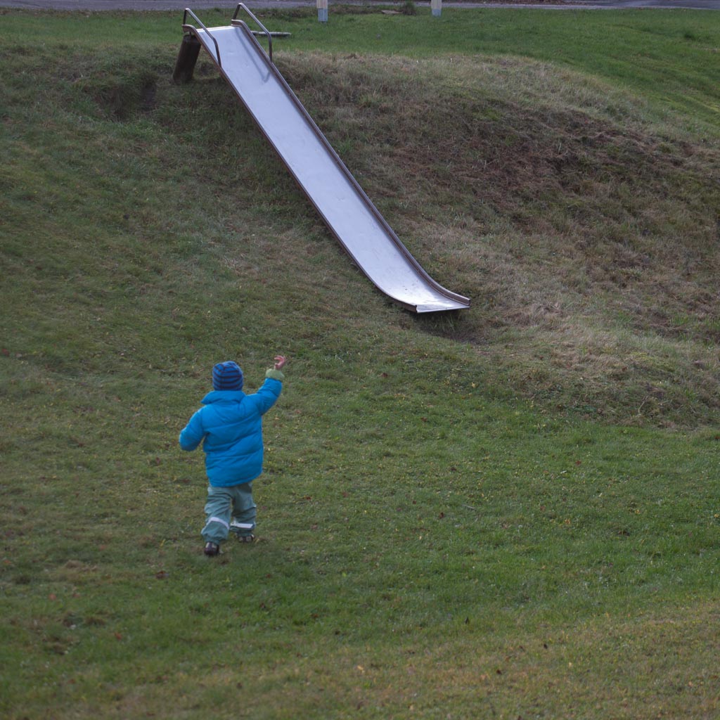 Pentax K-1 / 30 Pentax K-1   30