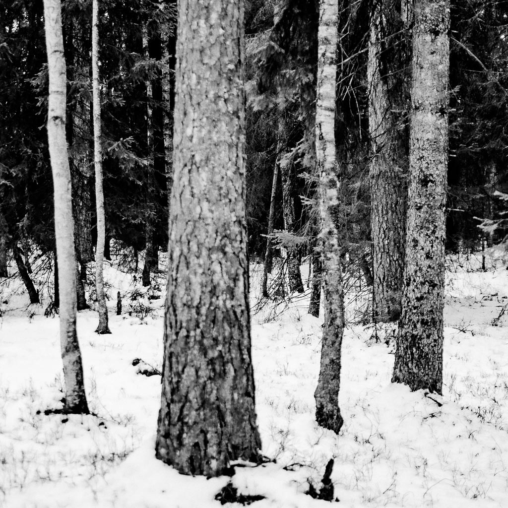 Pentax K-1 / 18 Pentax K-1   18