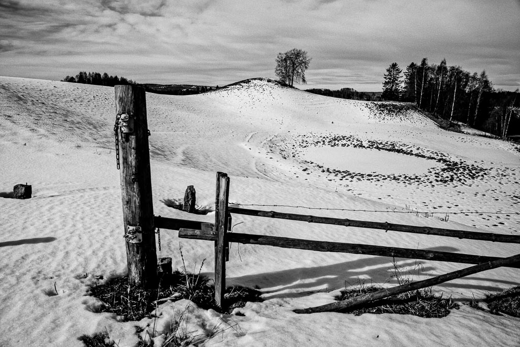 Pentax K-1 / 20 Pentax K-1   20