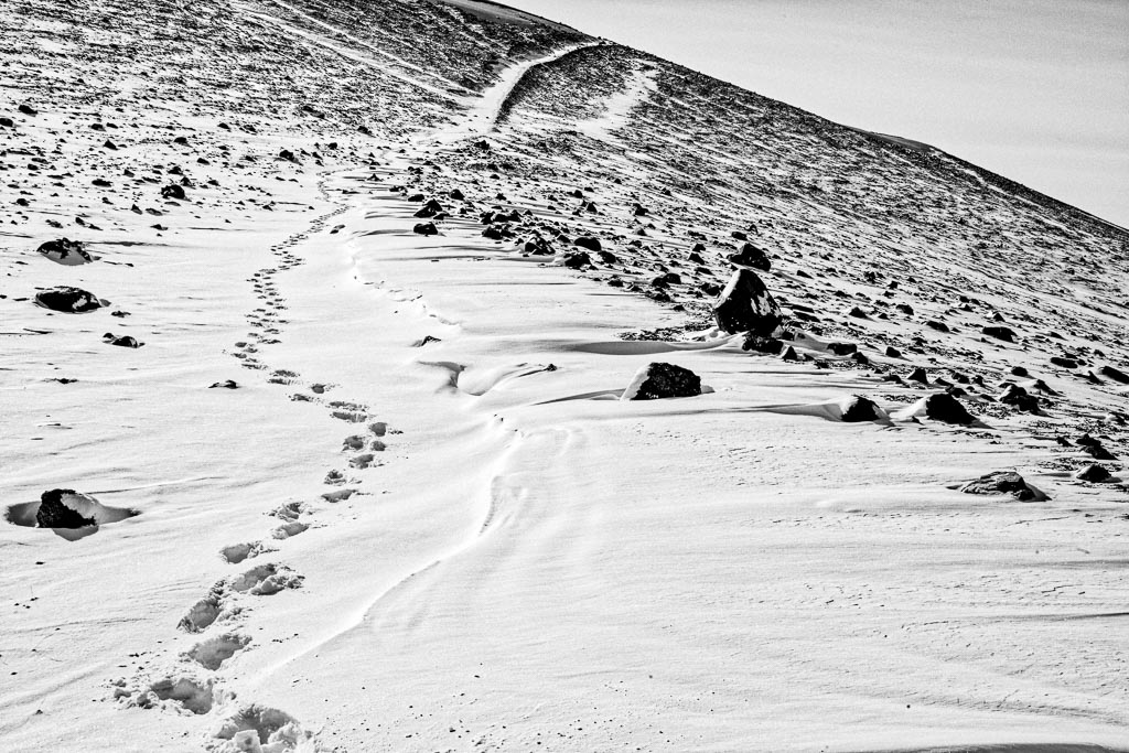 Pentax K-1 / 27 Pentax K-1   27