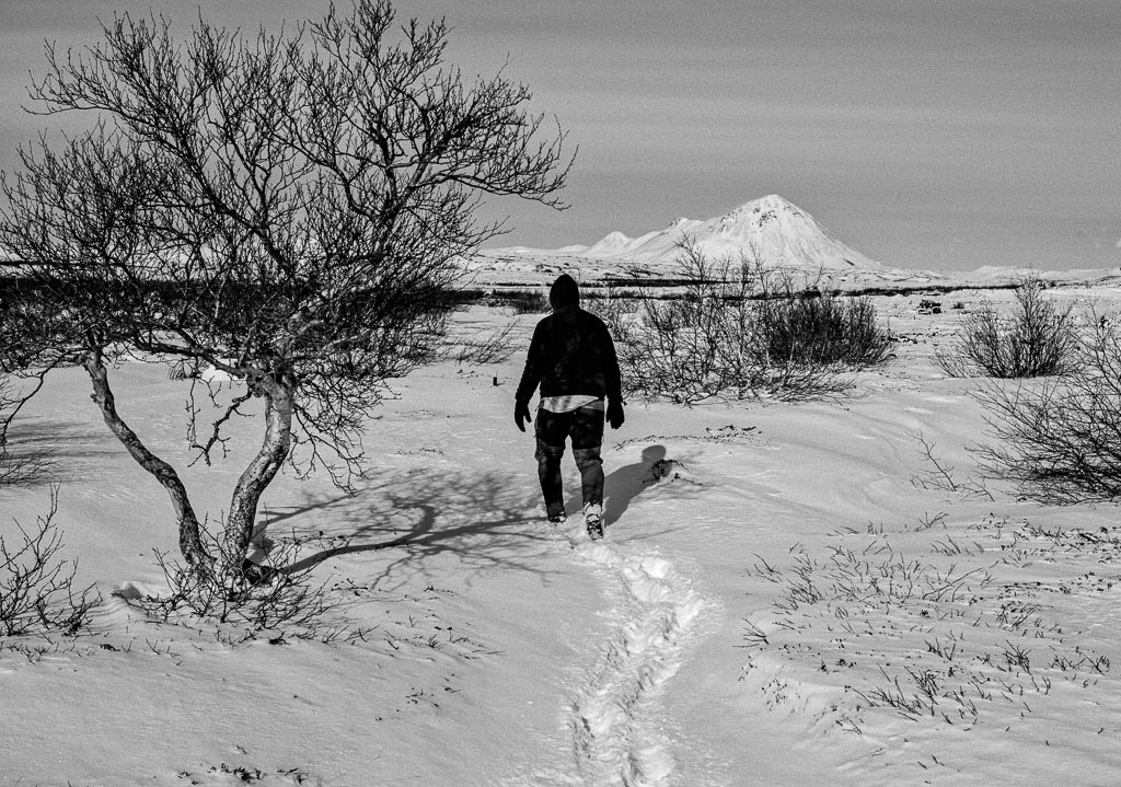 Pentax 645D / 27 Pentax 645D   27