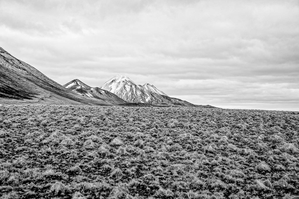 Pentax K-1 / 19 Pentax K-1   19