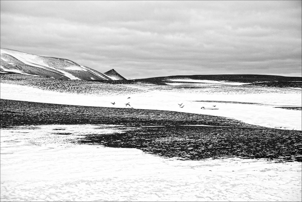 Pentax K-1 / 19 Pentax K-1   19