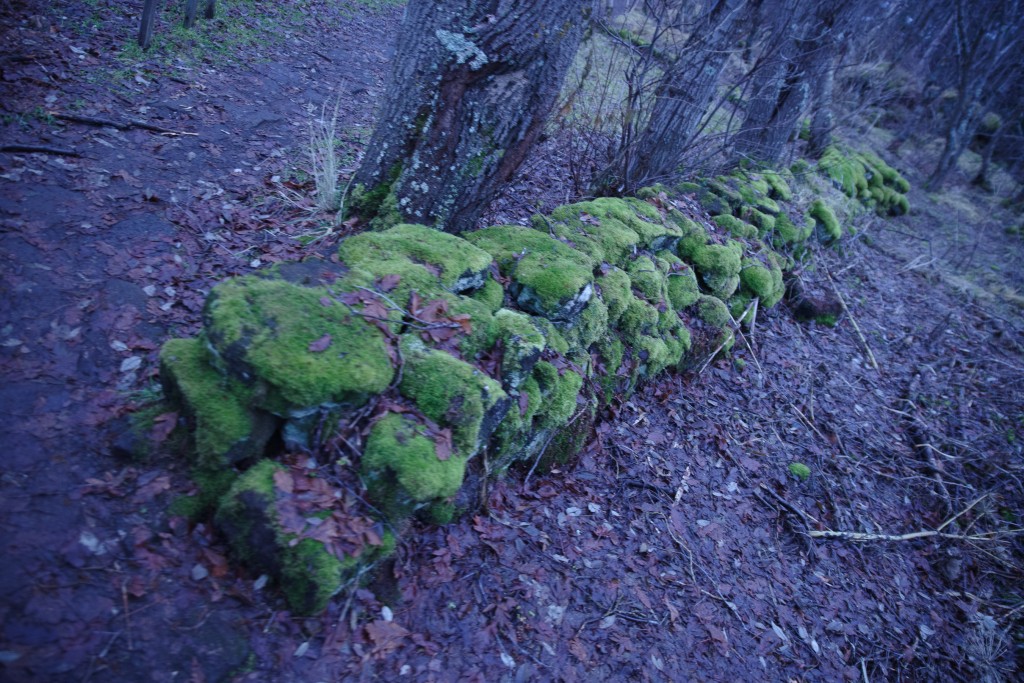 11-26-2022  1557     K1__6292.PEF