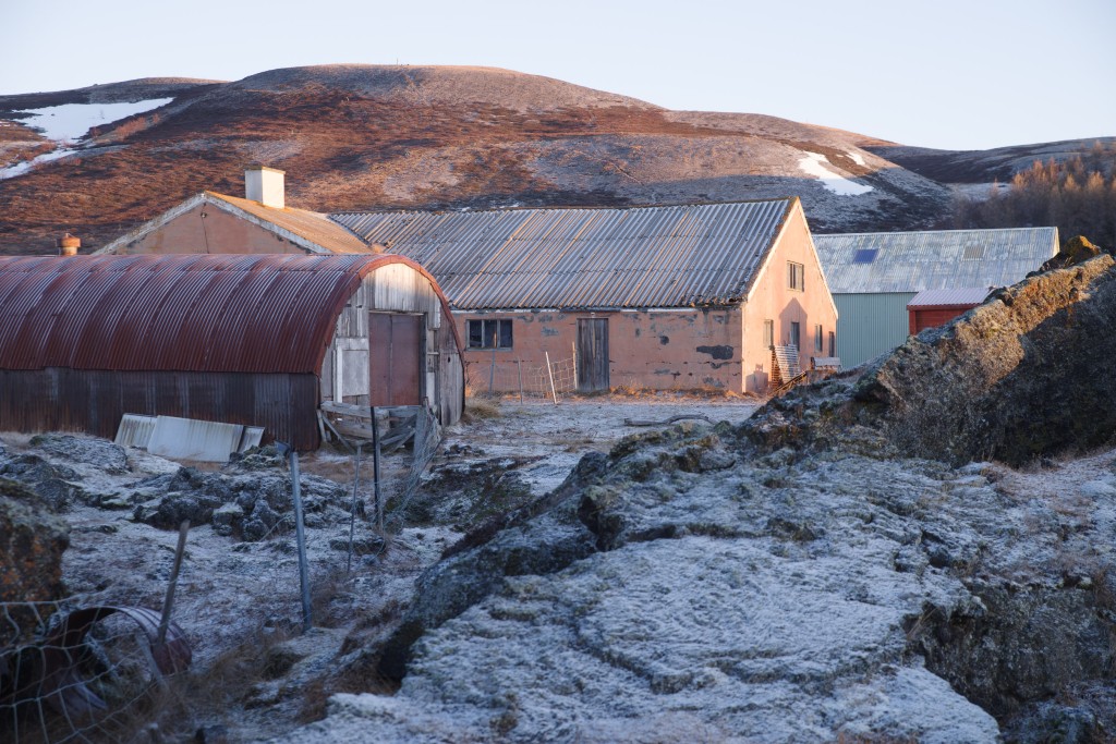 11-28-2022  1244     K1__6350.PEF