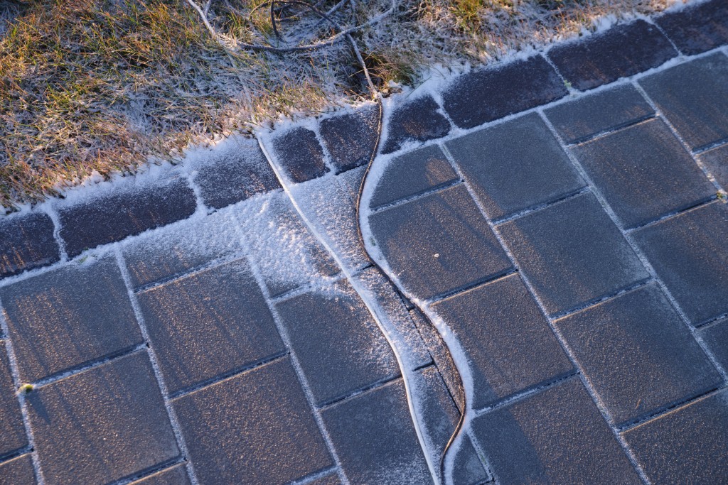 11-28-2022  1249     K1__6361.PEF