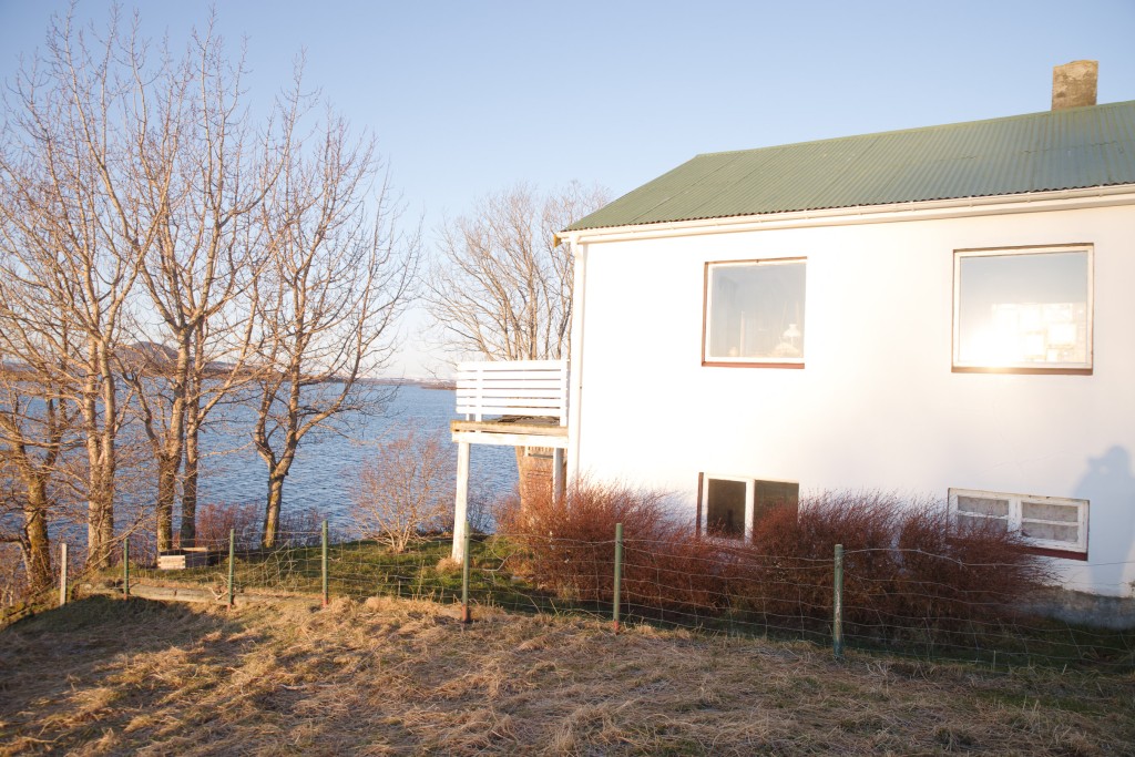 11-28-2022  1349     K1__6363.PEF