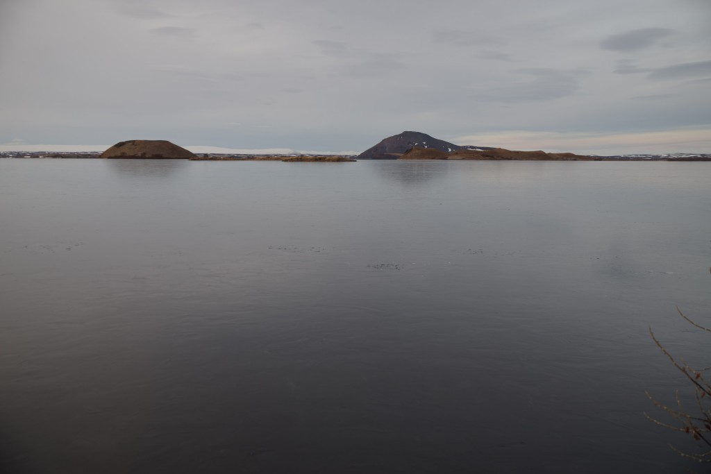 11-29-2022  1324     K1__6496.PEF