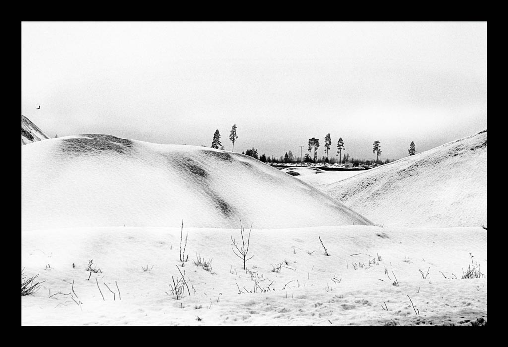 Pentax 645D / 15 Pentax 645D   15