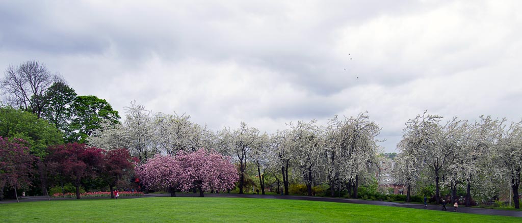 Pentax 645D / 16 Pentax 645D   16