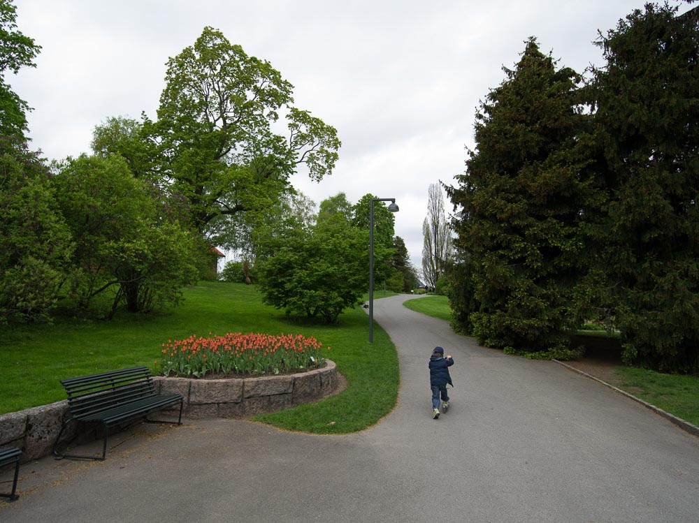 Pentax 645D / 16 Pentax 645D   16