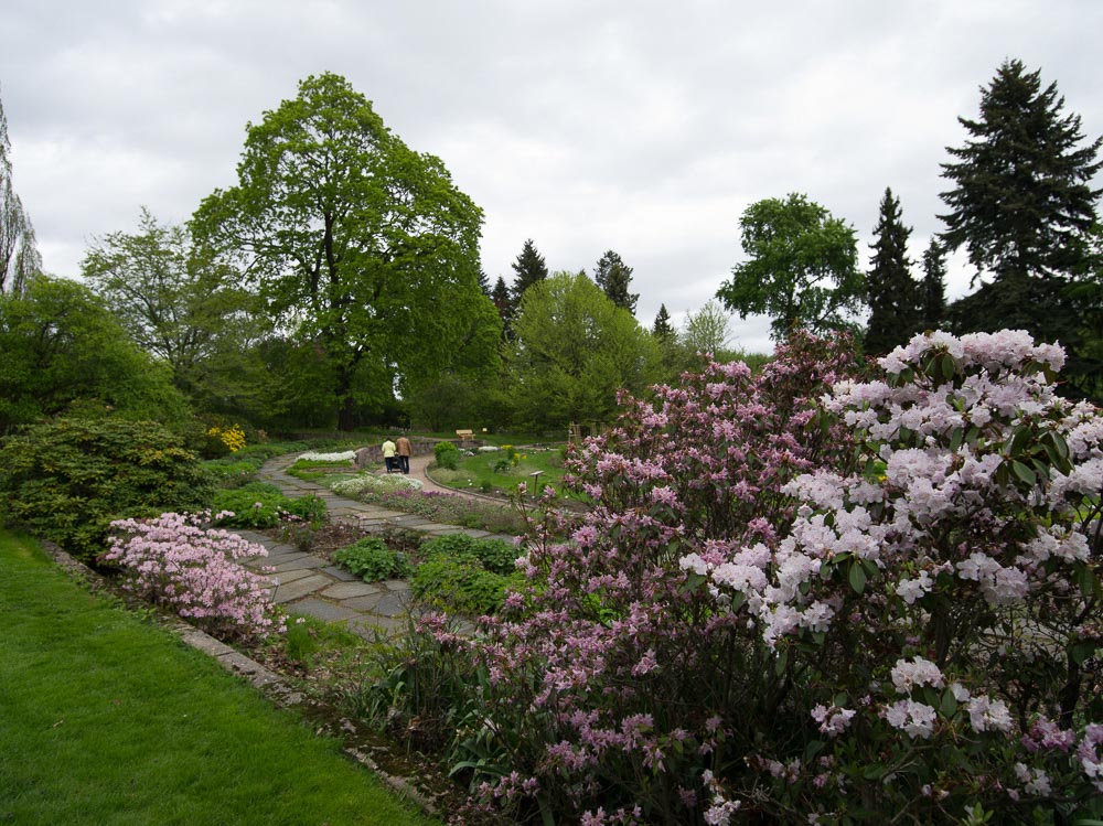 Pentax 645D / 16 Pentax 645D   16