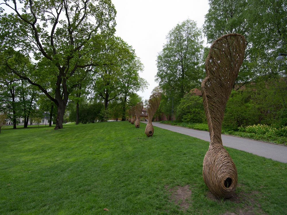 Pentax 645D / 16 Pentax 645D   16